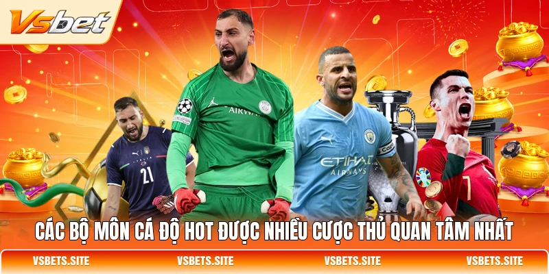 Các bộ môn cá độ hot được nhiều cược thủ quan tâm nhất Các bộ môn cá độ hot được nhiều cược thủ quan tâm nhất