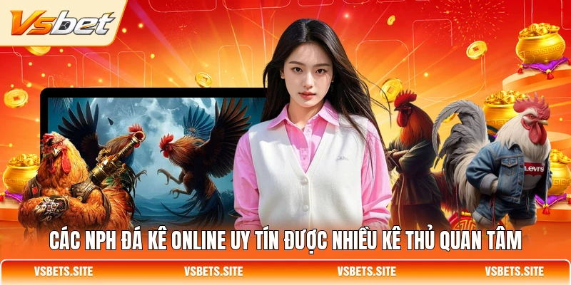 Các NPH đá kê online uy tín được nhiều kê thủ quan tâm Các NPH đá kê online uy tín được nhiều kê thủ quan tâm