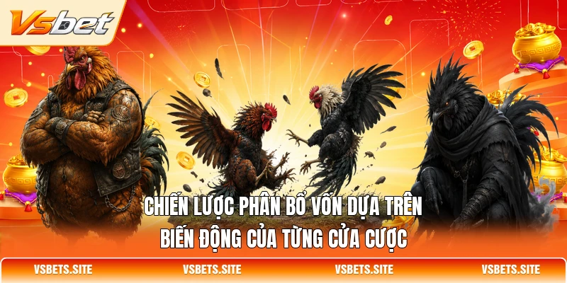 Chiến lược phân bổ vốn dựa trên biến động của từng cửa cược Chiến lược phân bổ vốn dựa trên biến động của từng cửa cược